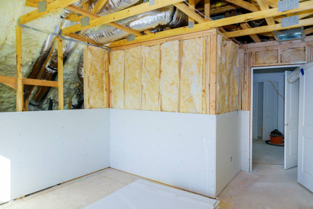 Best Eco-Friendly Insulation in Dixon, CA