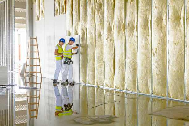 Best Blown-in Insulation in Dixon, CA